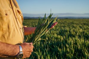 Read more about the article de Sangosse Southern Africa’s Network of Partnerships Brings Unmatched Expertise and Experience to Zambia