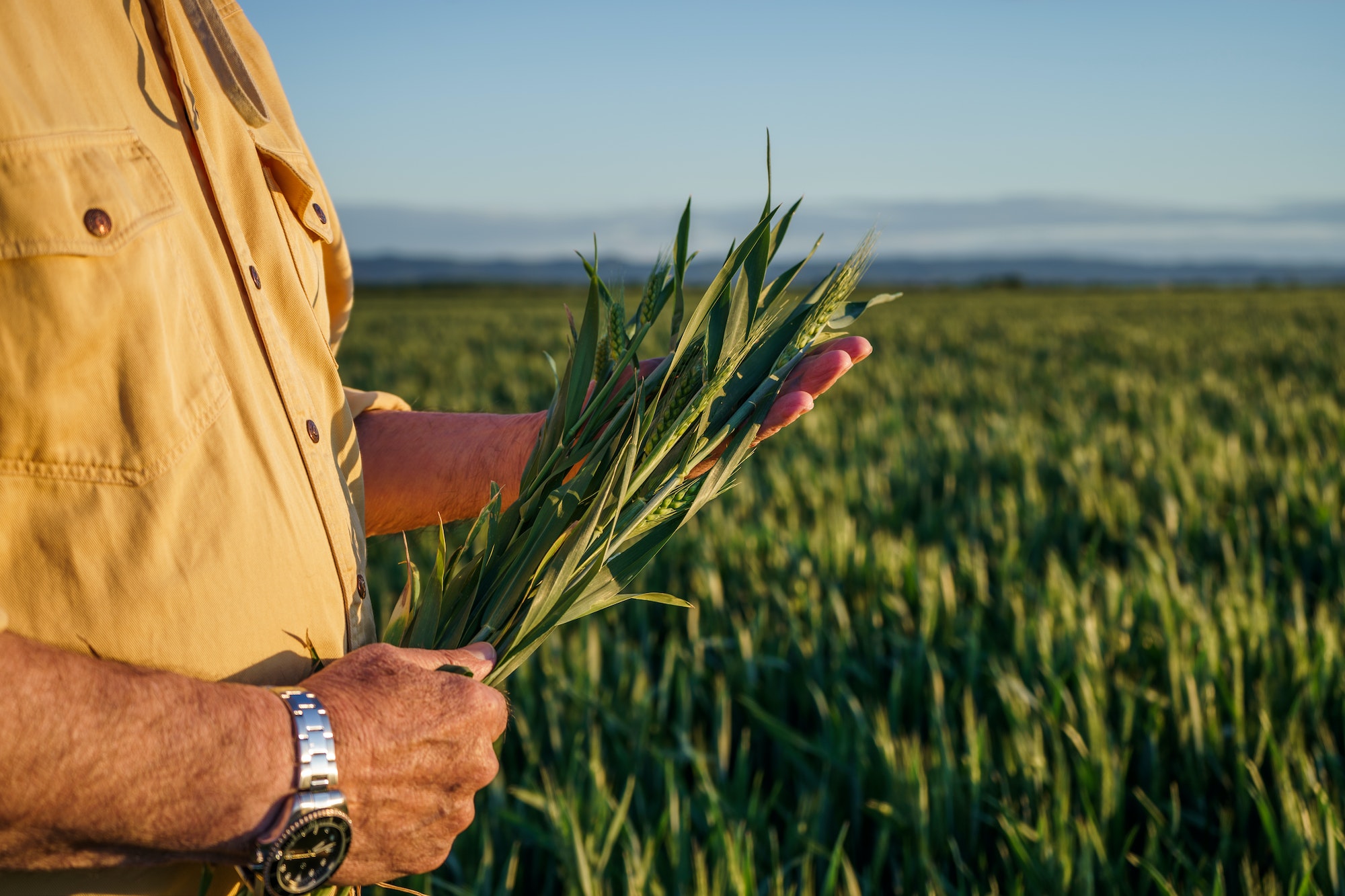 You are currently viewing de Sangosse Southern Africa’s Network of Partnerships Brings Unmatched Expertise and Experience to Zambia